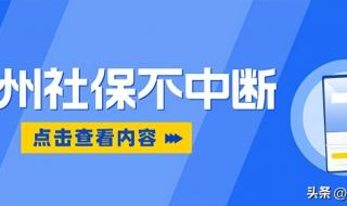 杭州2024社保每个月交多少 杭州社保怎么交